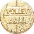 Gold Volleyball Lapel Pin