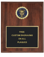 Volunteer Insert Plaque