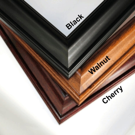 Wall Mounted Glass Baseball Bat Display Case