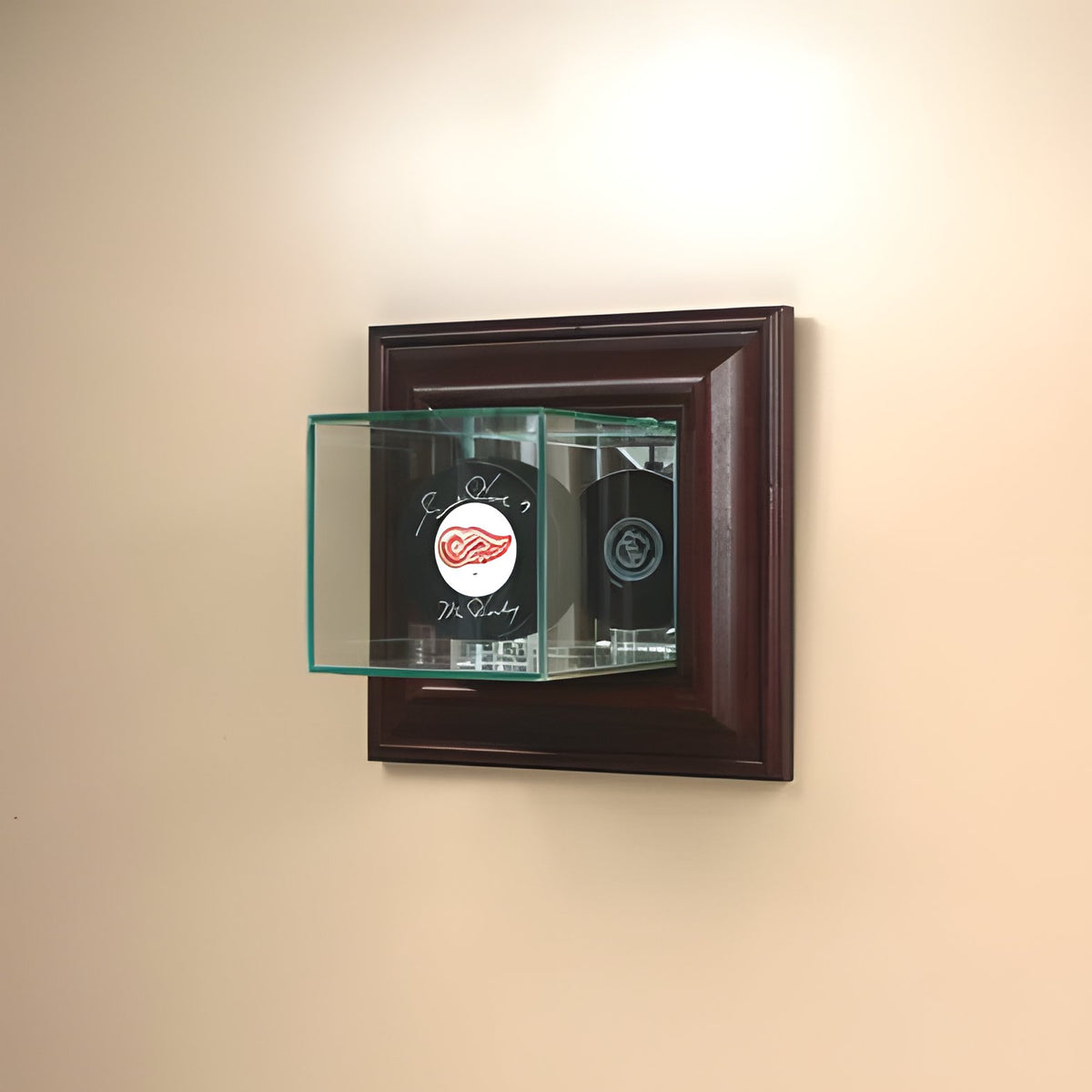 Wall Mounted Single Puck Glass Display Case