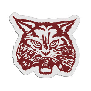 Wildcat Mascot Badge