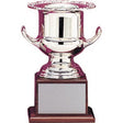 Wine Cooler Championship Trophy