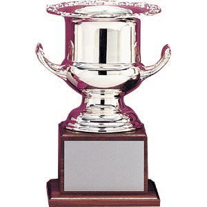 Wine Cooler Championship Trophy