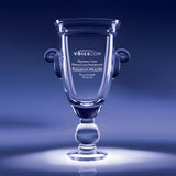 World Class Cup Champion's Award